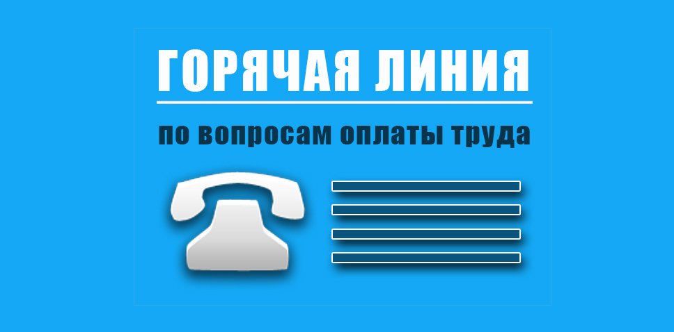 Вопрос по выплатам. Горячая линия по вопросам оплаты труда. Телефон горячей линии по вопросам оплаты труда. Горячая линия по трудовым вопросам. Горячая линия по труду.